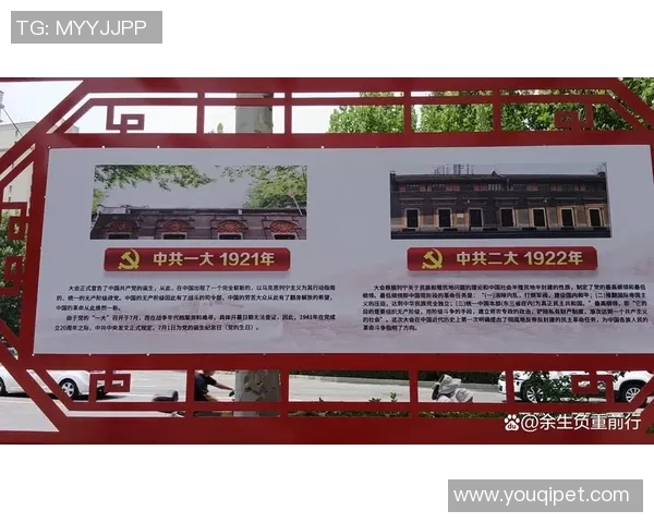 杭州羽毛球队的辉煌征程与大满贯梦想的追逐之路