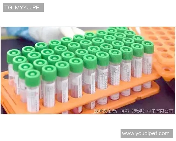 足球明星手套背后的科技与时尚揭秘探讨